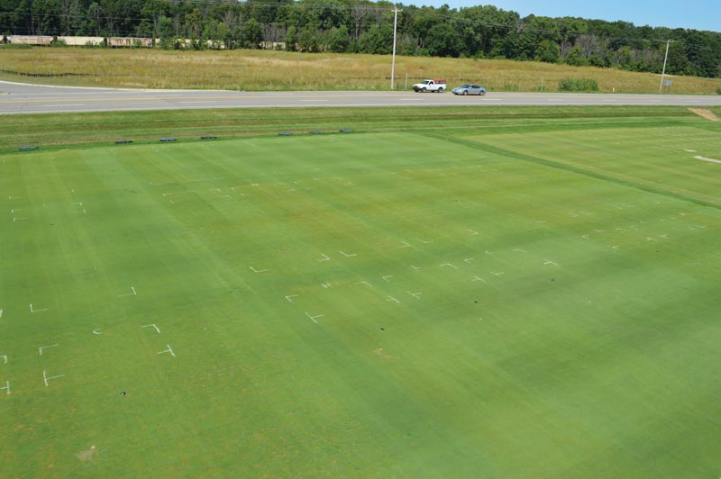 Impact Of Overwatering On Soil Health